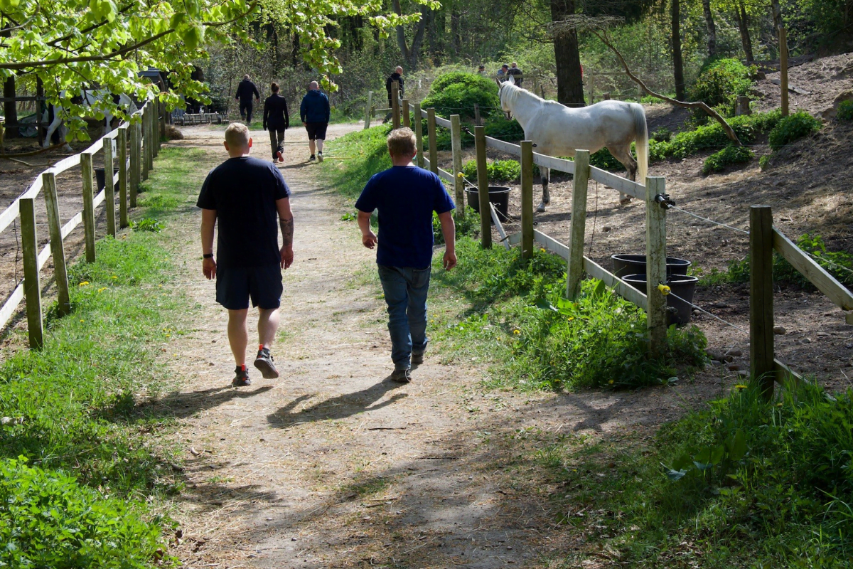 Personer på skovsti set fra ryggen. På begge sider af stien ses indhegninger. I indhegningen til højre ses en hvid hest.