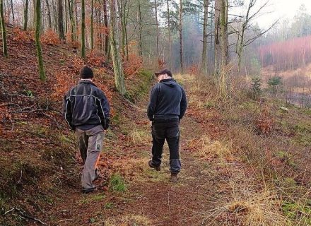 To mænd går tur i en skov om efteråret.